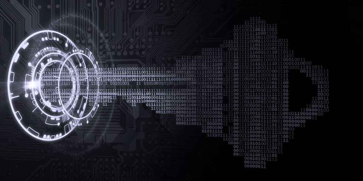 How to Secure Your Critical Sensitive Data in Non-Production and Testing Environments